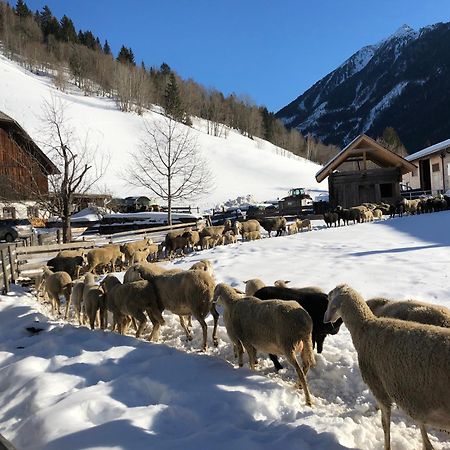 Auerhof Villa Schladming Dış mekan fotoğraf