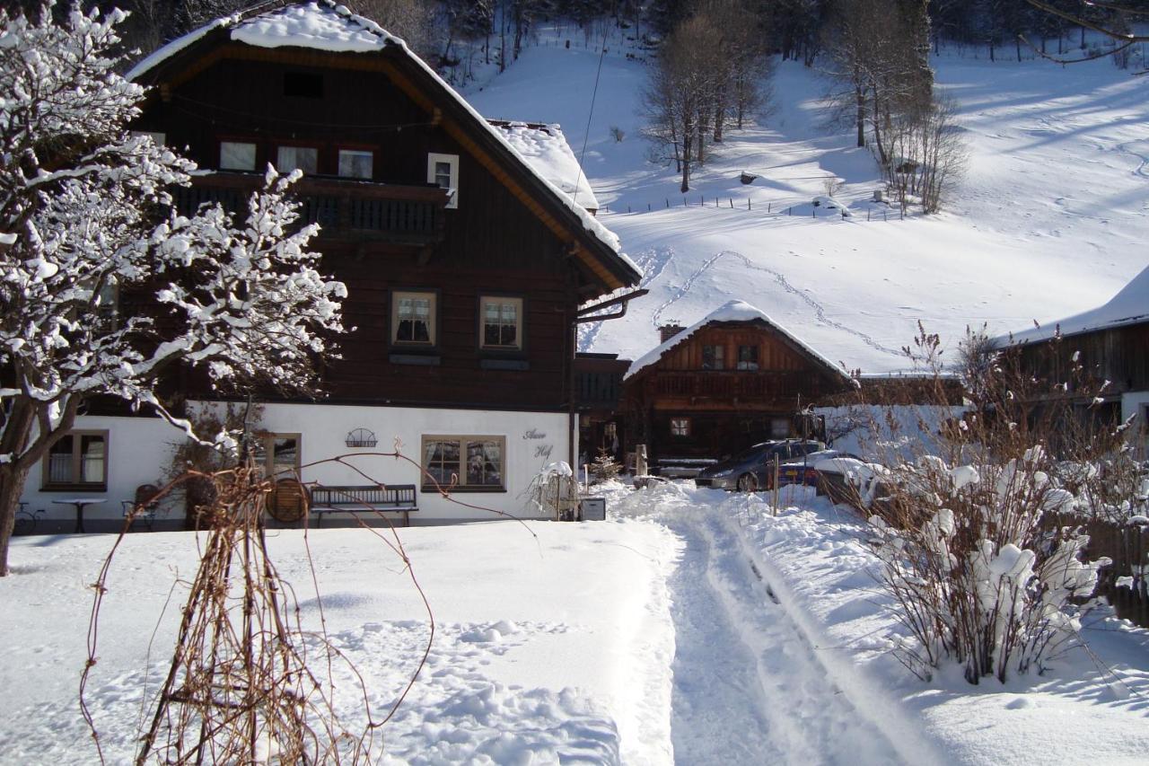 Auerhof Villa Schladming Dış mekan fotoğraf