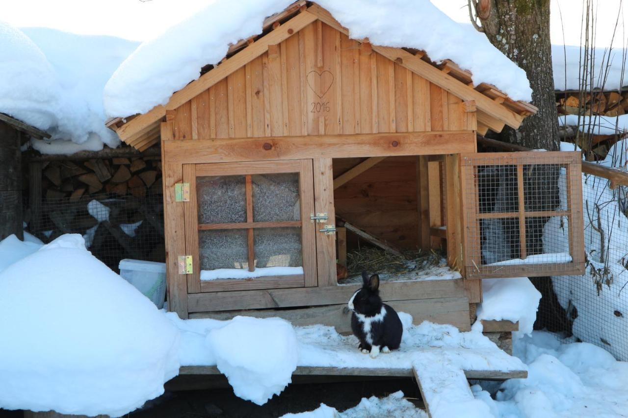 Auerhof Villa Schladming Dış mekan fotoğraf