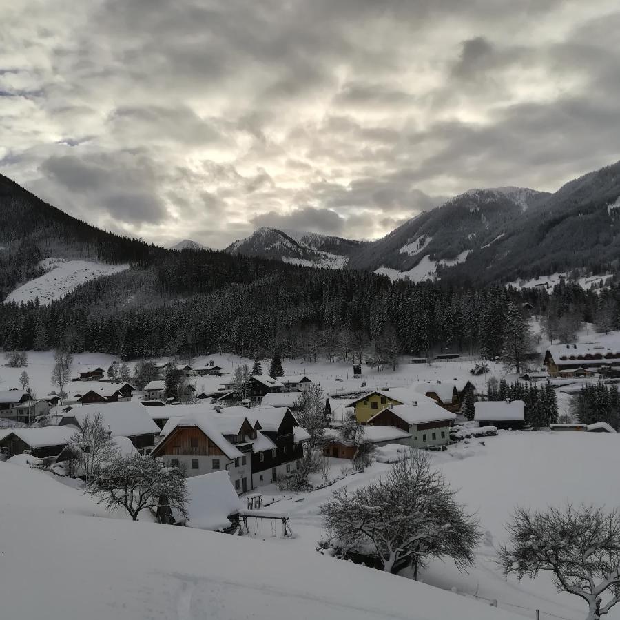 Auerhof Villa Schladming Dış mekan fotoğraf