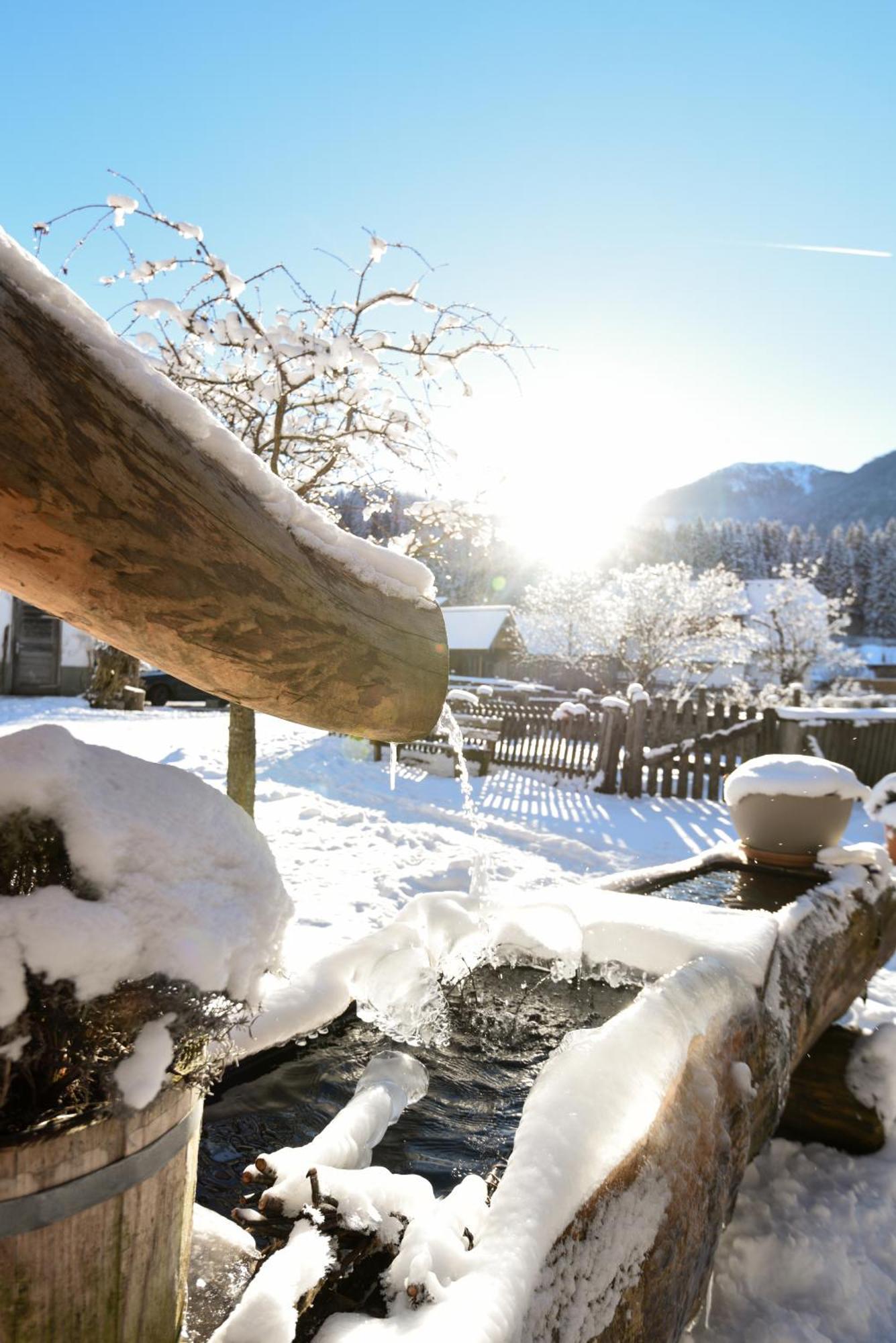 Auerhof Villa Schladming Dış mekan fotoğraf