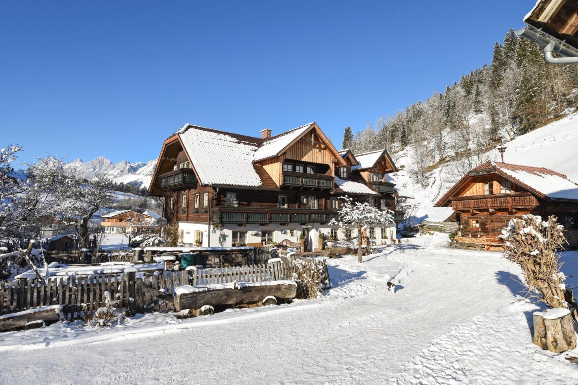 Auerhof Villa Schladming Dış mekan fotoğraf