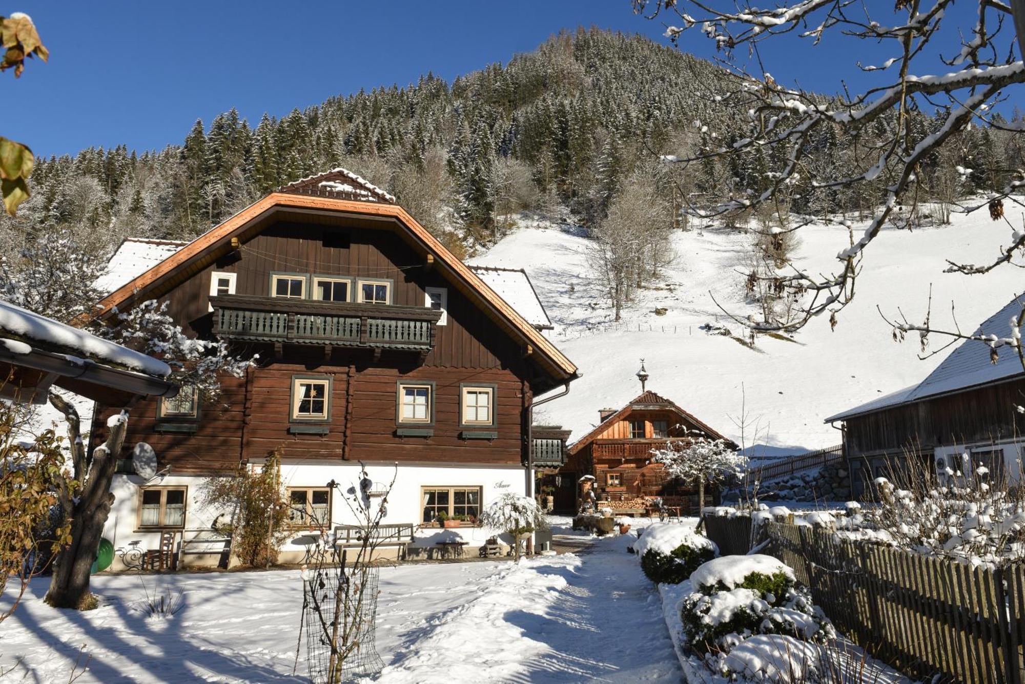 Auerhof Villa Schladming Dış mekan fotoğraf
