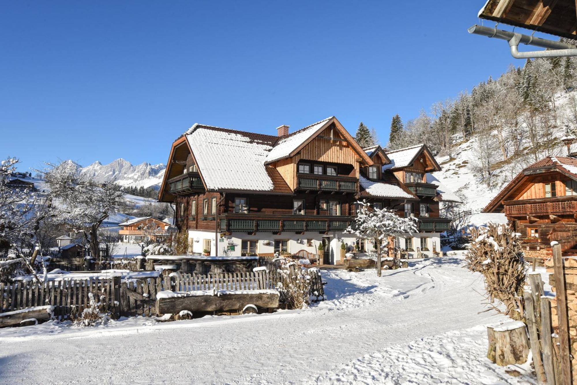 Auerhof Villa Schladming Dış mekan fotoğraf