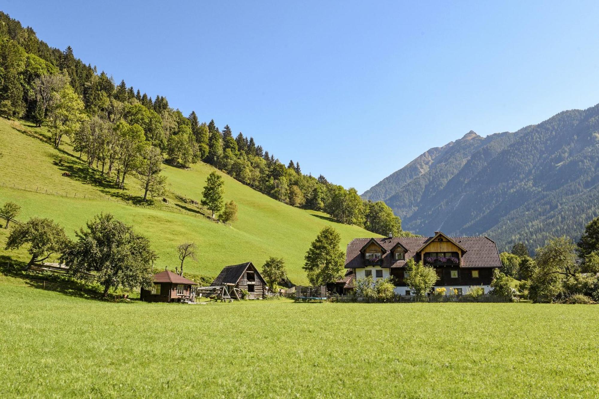 Auerhof Villa Schladming Dış mekan fotoğraf