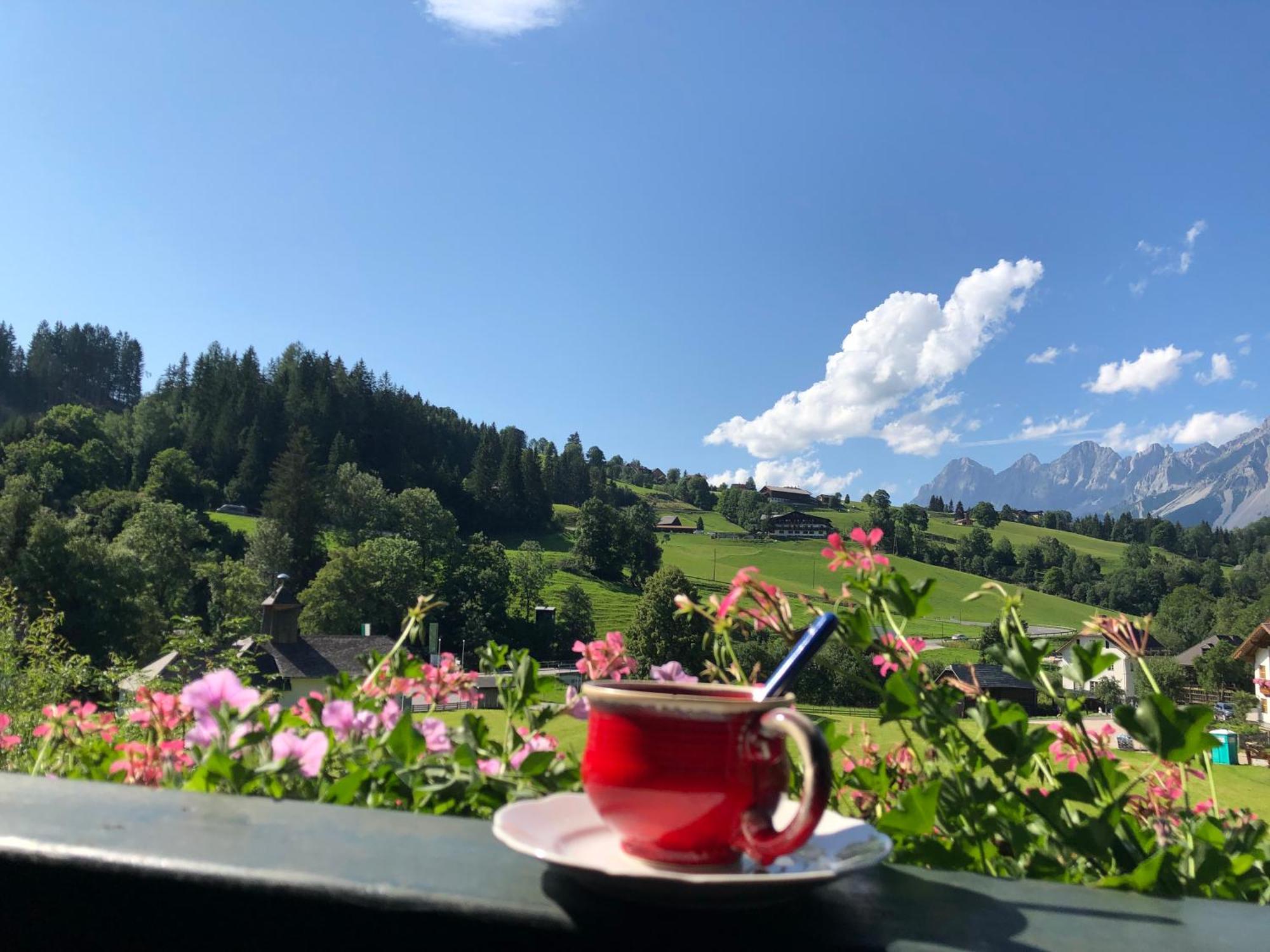Auerhof Villa Schladming Dış mekan fotoğraf